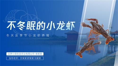 创新创业大赛农业小龙虾PPT定制项目【陈西设计之家】